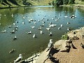 2014 Edinburgh 2014-07-09 092